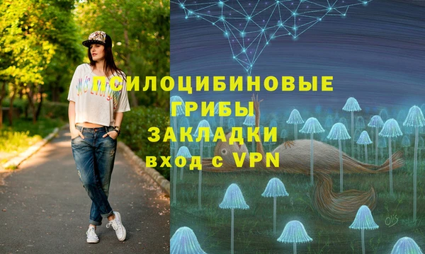 наркотики Белокуриха