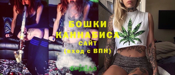 PSILOCYBIN Белоозёрский