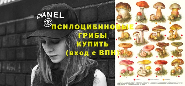 наркотики Белокуриха