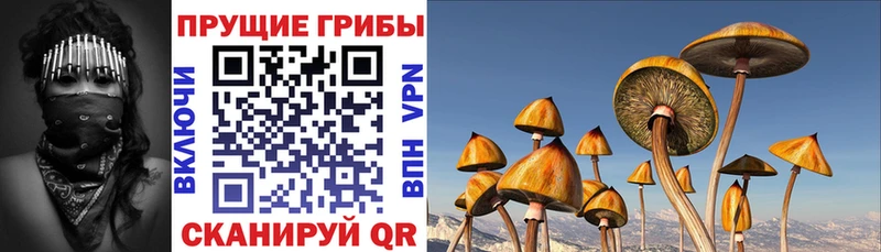 маркетплейс наркотические препараты  Обь  Галлюциногенные грибы Magic Shrooms 